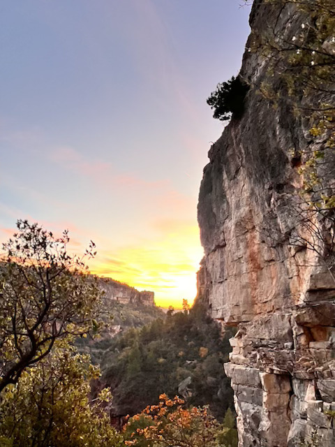 Séance d'escalade communauté